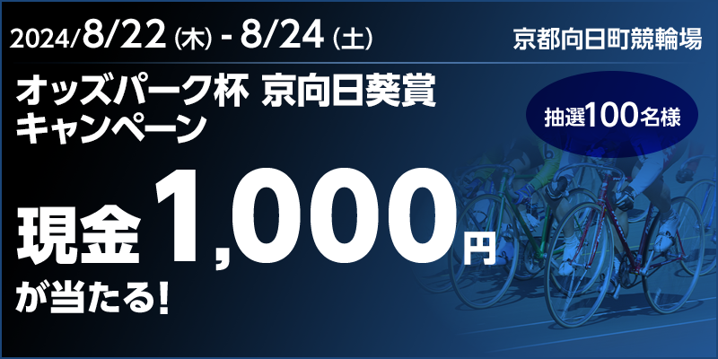 IbYp[Nt ܃Ly[ Ώۊ 2024N822i؁j`824iyj 1,000~I I100l Ώۏ@s֏