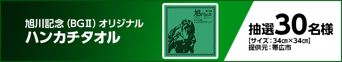 旭川記念(BGII)オリジナルハンカチタオル 抽選30名様 【サイズ:34cm×34cm】 提供元:帯広市