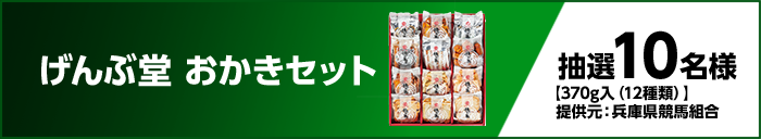 げんぶ堂 おかきセット 抽選10名様 【370g入(12種類)】 提供元:兵庫県競馬組合
