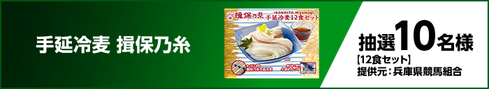 手延冷麦 揖保乃糸 抽選 10名様 【12食セット】 提供元:兵庫県競馬組合