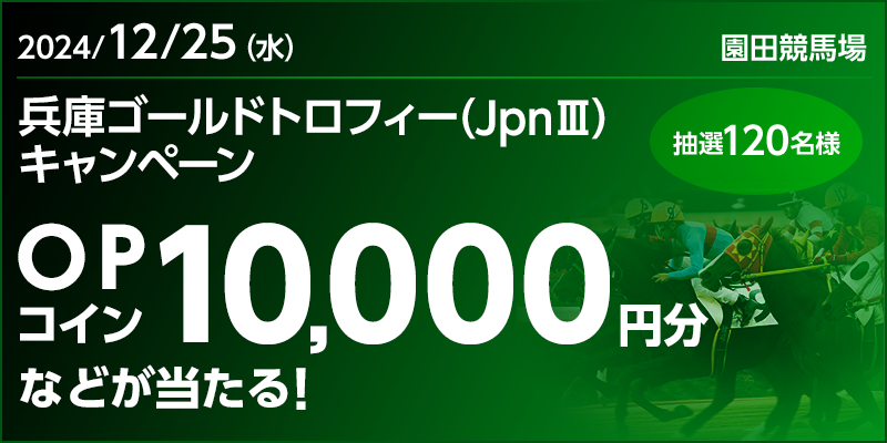 ɃS[hgtB[iJpnIIIjLy[@Ώۓ@2024N1225ij@OPRC10,000~ȂǂI@I120l@Ώۏ@cn