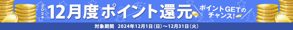 2024N12x|CgҌ@ΏۊԁF2024N121ij`1231i΁j@|CgGET̃`XI