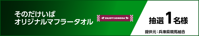 そのだけいばオリジナルマフラータオル 抽選1名様 提供元:兵庫県競馬組合