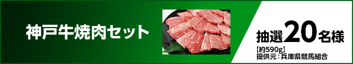 神戸牛焼肉セット 抽選20名様 【約590g】 提供元:兵庫県競馬組合