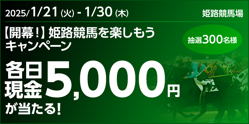 yJIzPHnyLy[ Ώۊ 2025N121i΁j`130i؁j e5,000~I I300l Ώۏ PHn