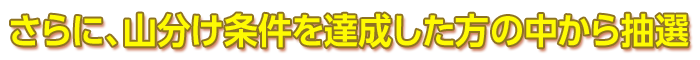 さらに、山分け条件を達成した方の中から抽選
