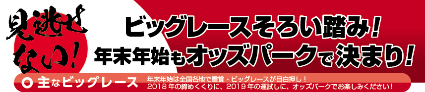 2018-9年末年始を楽しもう