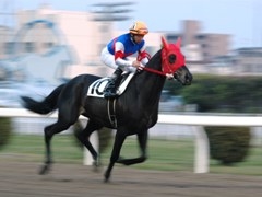 15-1_kawasaki.jpg
