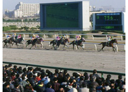 船橋競馬場