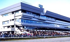 盛岡競馬場