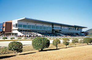 佐賀競馬場