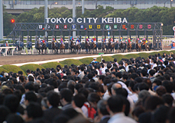 大井競馬場