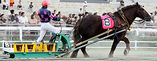 世界でただ1つの「ばんえい競馬」