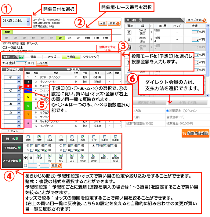 投票 地方 競馬