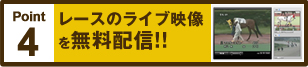 Point4 [X̃Cuf𖳗zMI