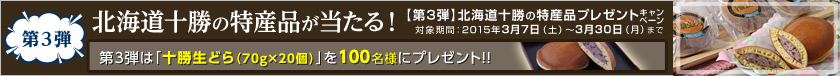 3e@kC\̓YiIy3ezkC\̓Yiv[gLy[@ΏۊԁF2015N37iyj`331i΁j@3éu\ǂi70g~20jv100lɃv[gII