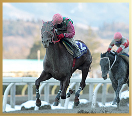 優勝馬:ヒカルジョディー