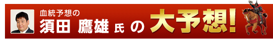 \ź@{cY̑\z!