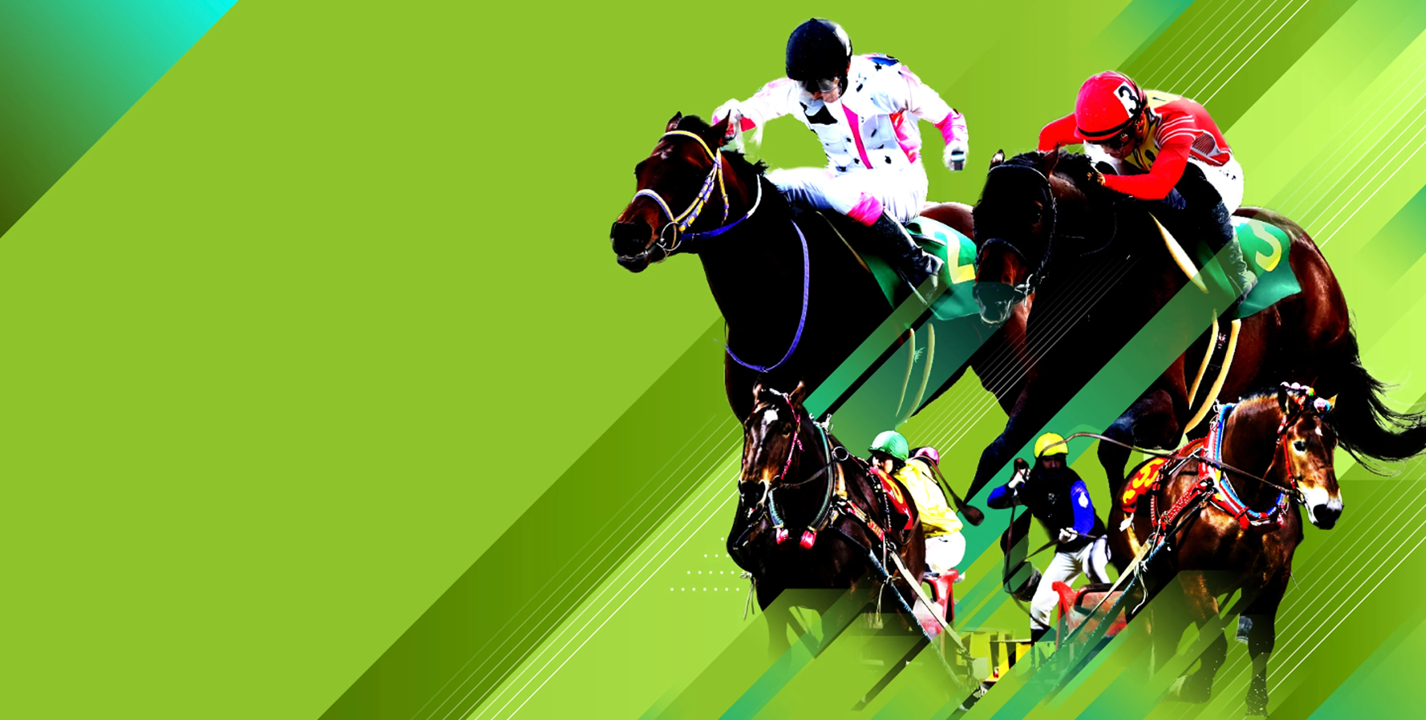 かきつばた記念 JpnIII