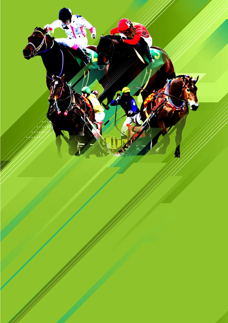 佐賀記念 Jpn Ⅲ