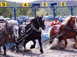 banei06.jpg