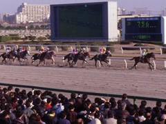 ガルフストリームパーク競馬場