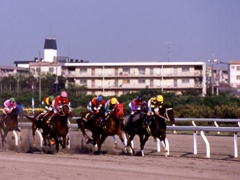 funabashi04.jpg