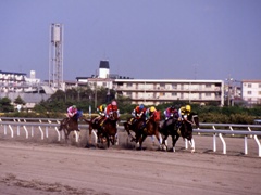 funabashi05.jpg