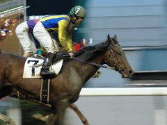 kawasaki04.jpg