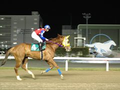 kawasaki07.jpg