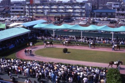 nagoya07.jpg