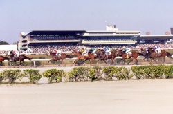 nagoya10.jpg