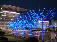 ooi08.jpg
