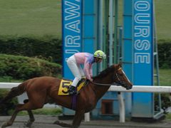 urawa15.jpg
