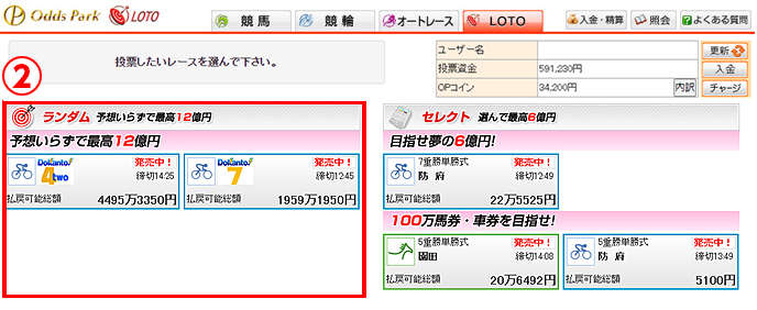 ランダム投票画面02