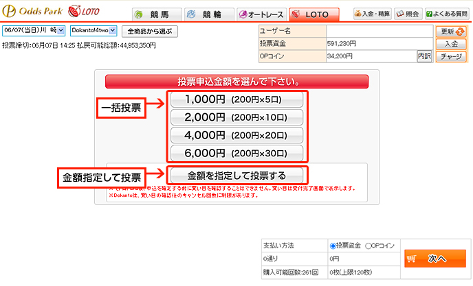 ランダム投票画面03