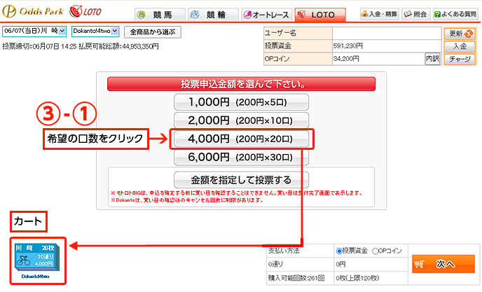 ランダム投票画面04