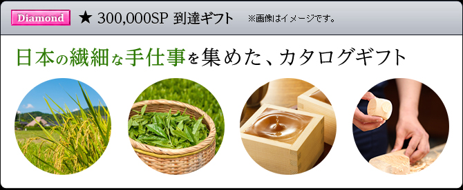 オッズパークプレミアムプログラム ダイヤモンドステータス