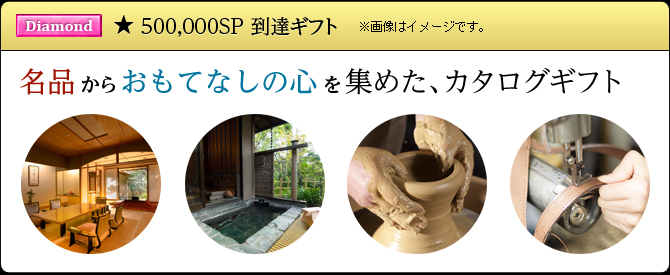 オッズパークプレミアムプログラム ダイヤモンドステータス