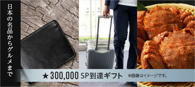 300,000SPBMtg@摜̓C[WłB