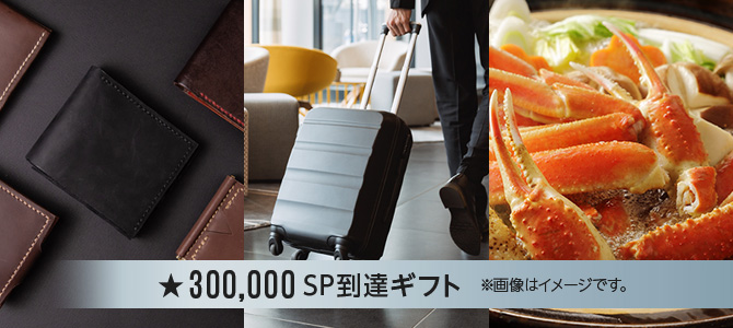 300,000SPBMtg@摜̓C[WłB