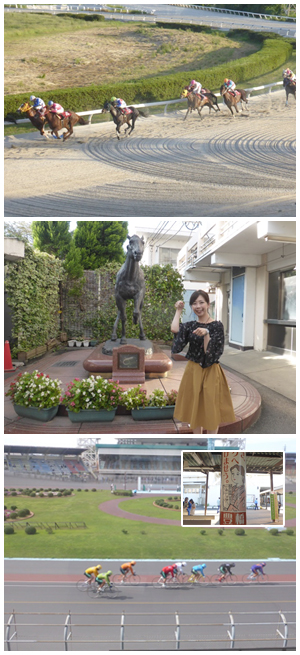 中部エリア2競技レース観戦ツアー