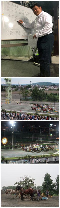 ばんえい競馬レース観戦と札幌フリー散策ツアー<3日間>