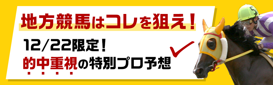 20241222_keiba_yosou_900_280.png