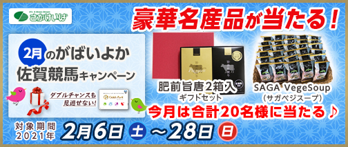 競馬 結果 佐賀