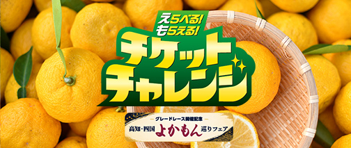 くじ感覚で楽しめる！競馬、競輪の重勝式・Dokanto!（ドカント
