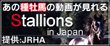 Stallions in Japan
