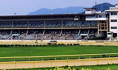 荒尾競馬場