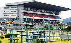 姫路競馬場