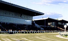 笠松競馬場